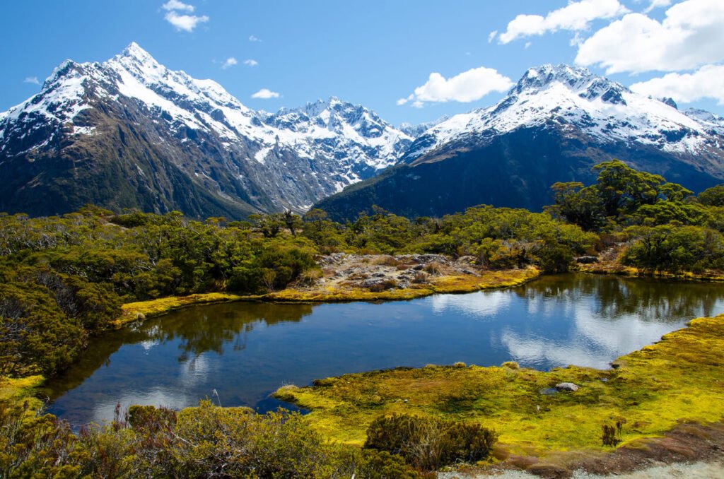 new-zealand-3